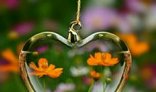 有时我也想执著