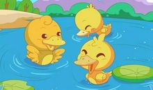 小鸭掉进坑里了