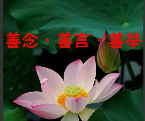 善良