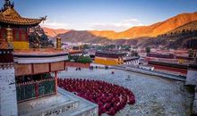 一叶尽览天地美