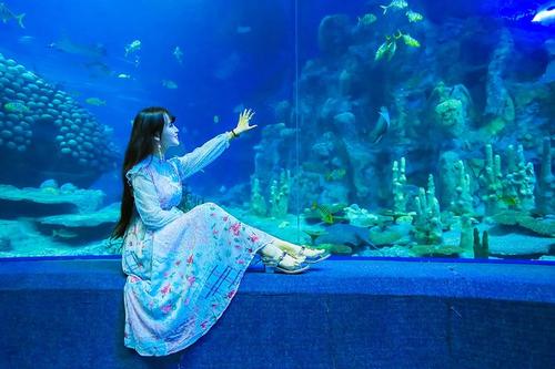 第一次去水族馆