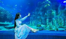 第一次去海洋馆