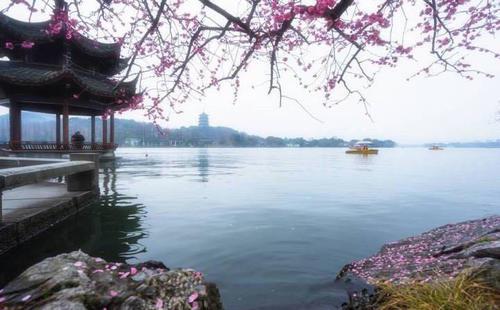 西湖的软