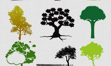 我画画的成长历程