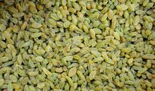 莫贪功，莫推过