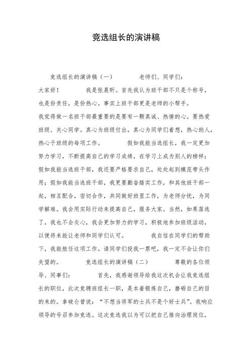 竞选负责人致辞