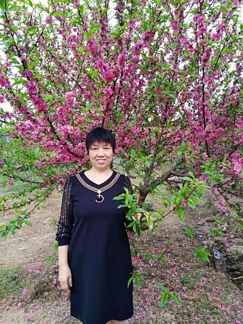 爱你永不后悔