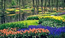 偶然间我嗅到了芬芳