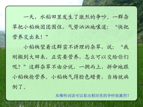 模仿小道扬的冒险