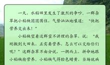 小稻秧历险记仿写