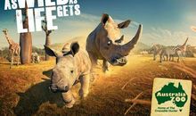 动物广告公司后传