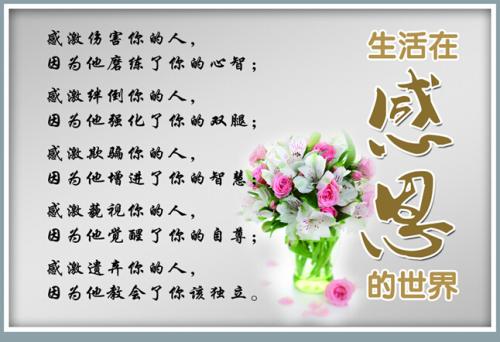 我很感激