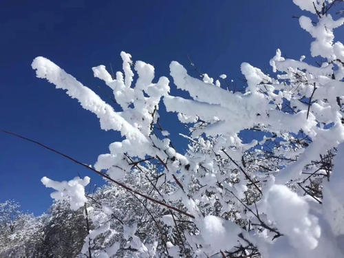 成都的冬天