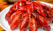 我的宠物小龙虾