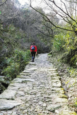 滕古路