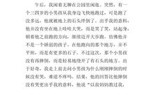 遇到困难的作文