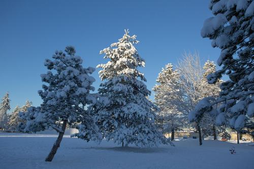 我的世界正在下雪