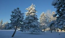 我的世界下雪了