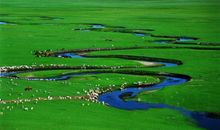 游内蒙草原