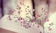 愿流年时光里有你