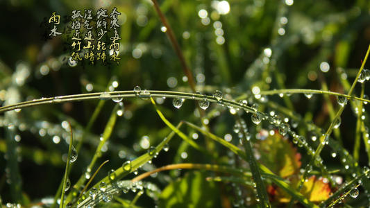 雨节