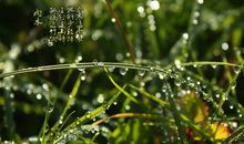 雨水气节