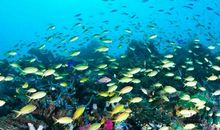 大自然真是奇妙