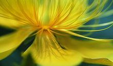 像花儿一样绽放的友谊