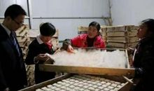 卖豆腐的小姑娘