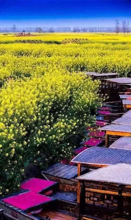 春季之旅