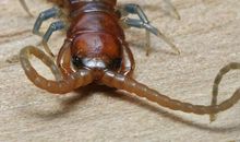 我们班的三“虫”