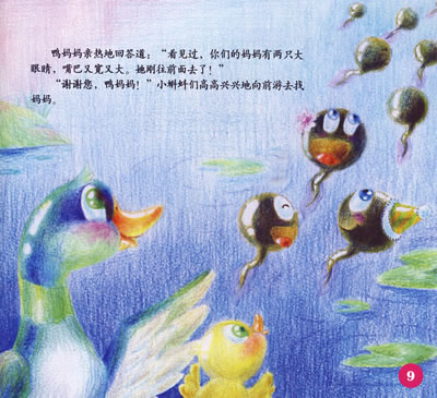 我与t的故事