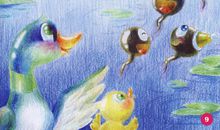 我与蝌蚪的故事