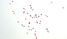 有时我也想挣脱