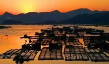 欢迎你到霞浦来