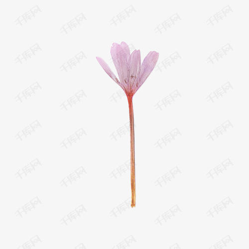 一朵花