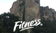 江心屿太阳花海