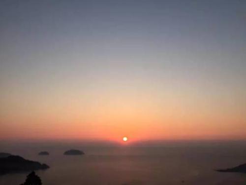 挫败是好药