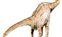 梁龙的家园读后感