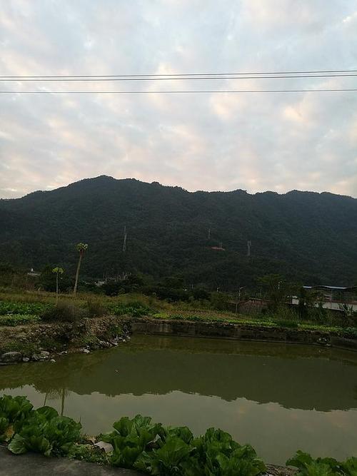 我家门前的池塘