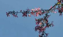 一缕阳光触动我心