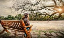 那树，那河，那菜地