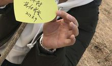 播种希望收获喜悦