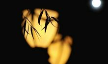 月光留在记忆里