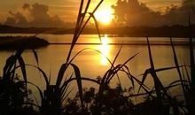 珍藏美好的记忆