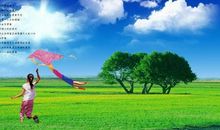 放飞梦想,为梦翱翔