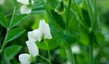 一场体味人生的远足