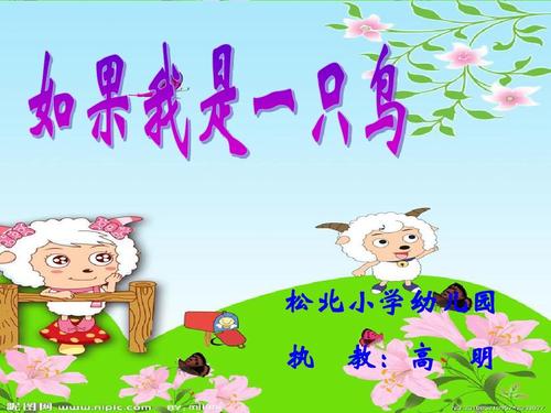如果我是鸟