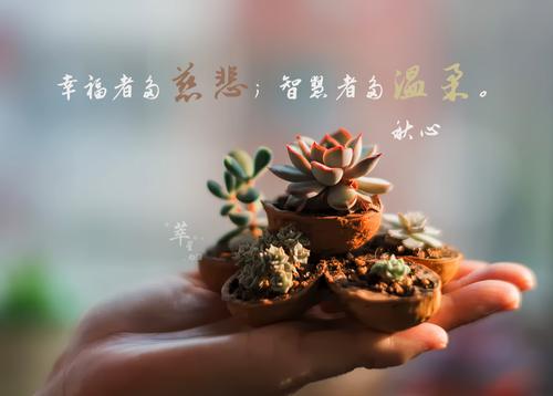 选择-生活的智慧
