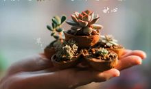 取舍——生活的智慧